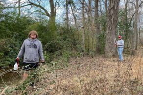 Students remove invasive plants