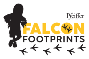 Falcon Footprints